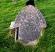 Photo of headstones/thumb_Roderick MacLennan d1896 hdstn Valtos burial grd (Lewis)